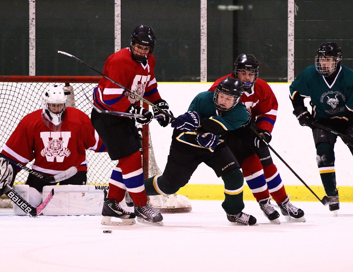 Hockey_2016_179.jpg